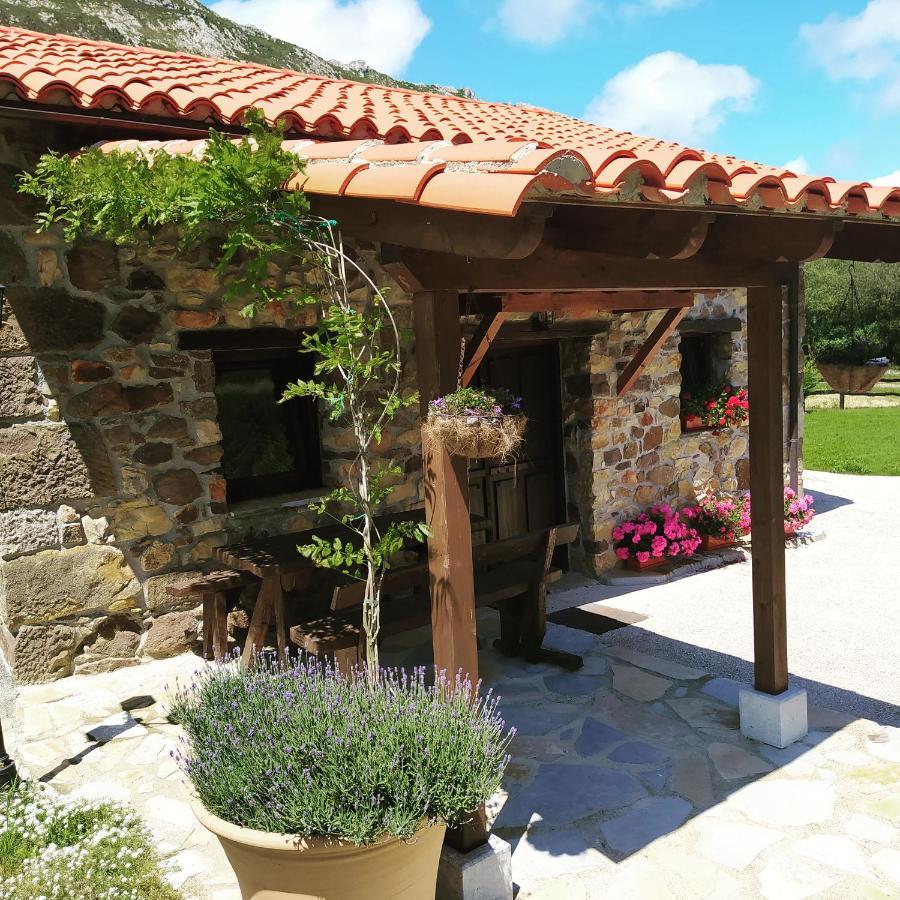 Cabana Del Jerreru Alea Exterior foto